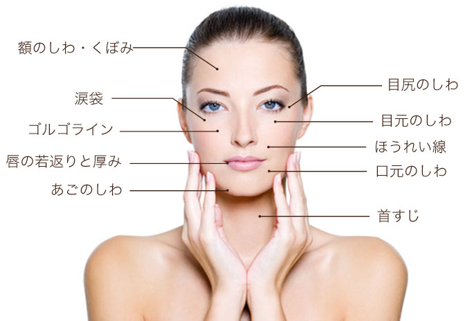 スキンバイブ適応部位