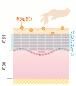 手で塗った場合